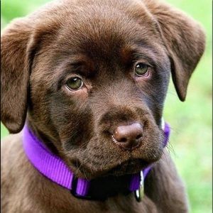 Meet your Posher, Deb